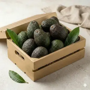 Caja Selección Oro de Aguacates Premium 7 kg