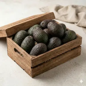 Caja Aguacate Gem Premium Aguacate Tropical 5 kg