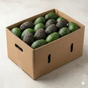 Cajas 9,5-10 kg