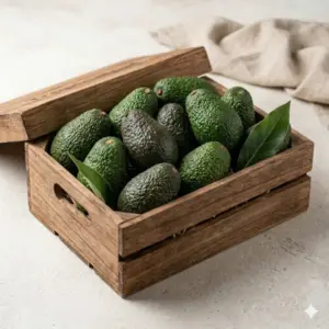 Caja de Aguacates Premium Aguacate Tropical 6 kg