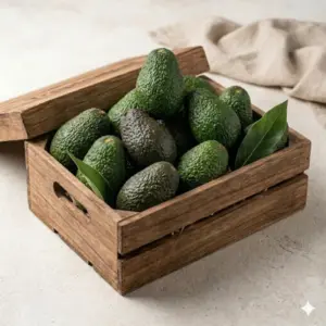 Caja de Aguacates Premium Aguacate Tropical 8 kg
